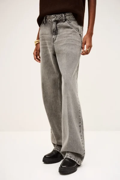 Ba&sh - ג’ינס Vecchi – 1H25VECC_GREY – 1